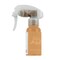ART PHILOSOPHY Prima Marketing Color Bloom Spray Bottle 2-Ounce Sultry Shimmer Gilded 2 oz 655350573911